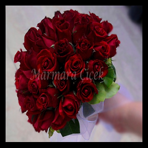 Markalar 2 Markalar 2