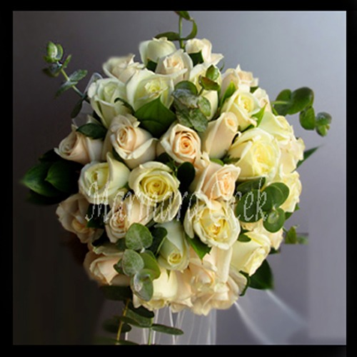 Markalar 4 Markalar 4