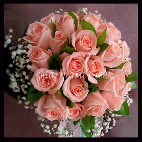 Markalar 5 Markalar 5